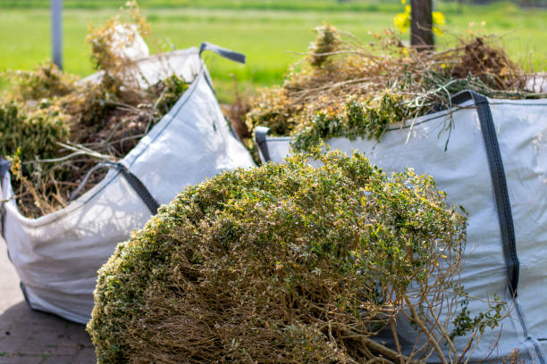 Best Yard Cleanup Services  in Wadsworth, IL